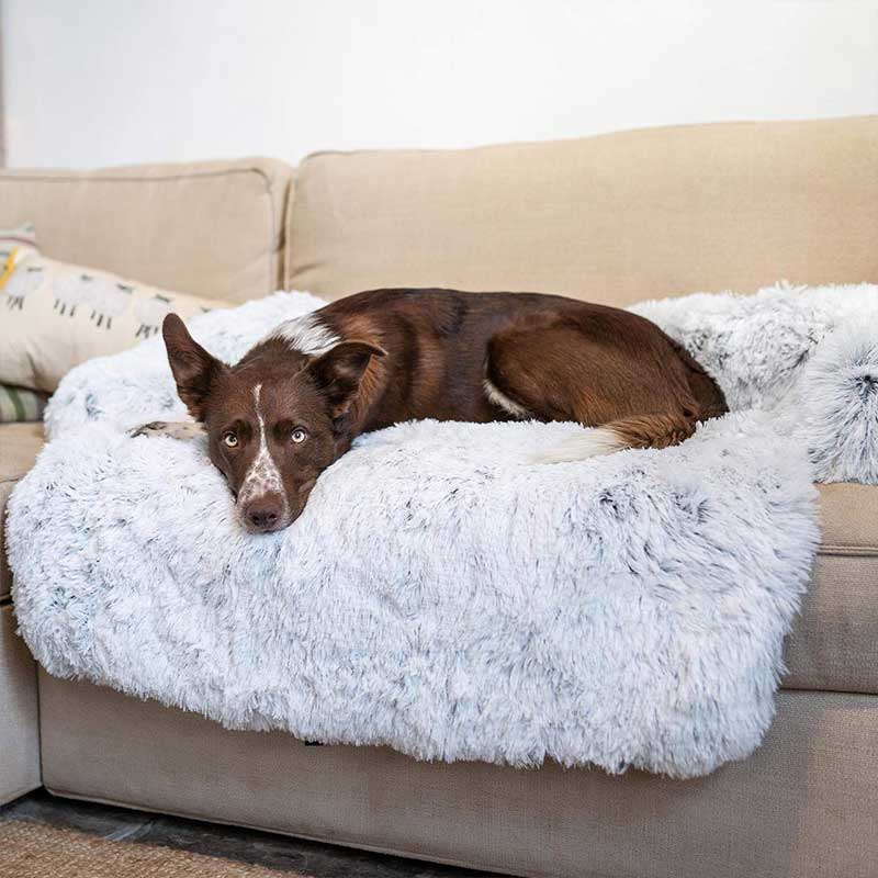 Washable Pet Sofa Bed, Calming Dog Bed, Dog Couch cover