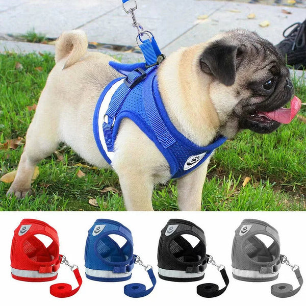 Reflective Vest and Leash