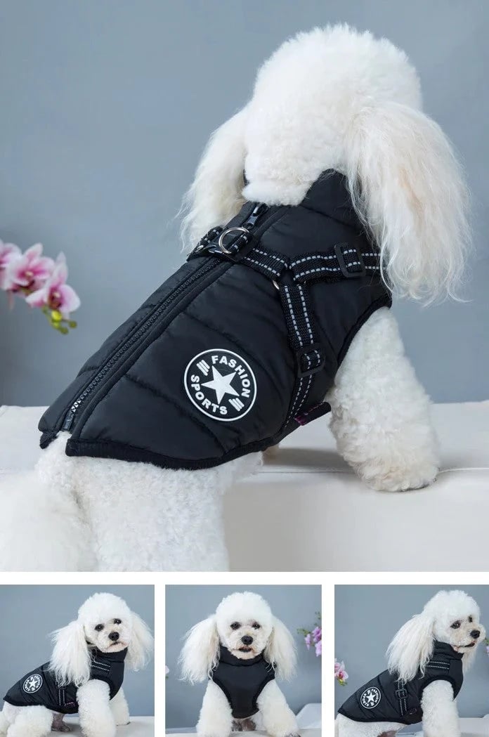 🔥 Waterproof Furry Jacket for Dogs of All Sizes