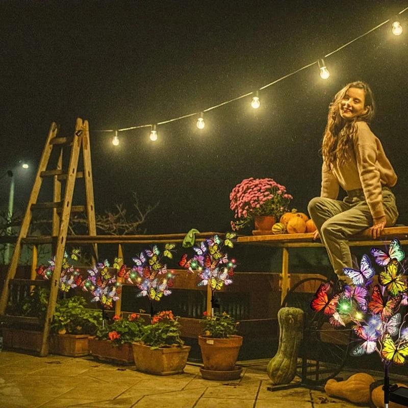 2 Packs Solar Outdoor Butterfly Lights