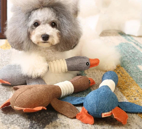 Extreme Goose  For Heavy Chewers