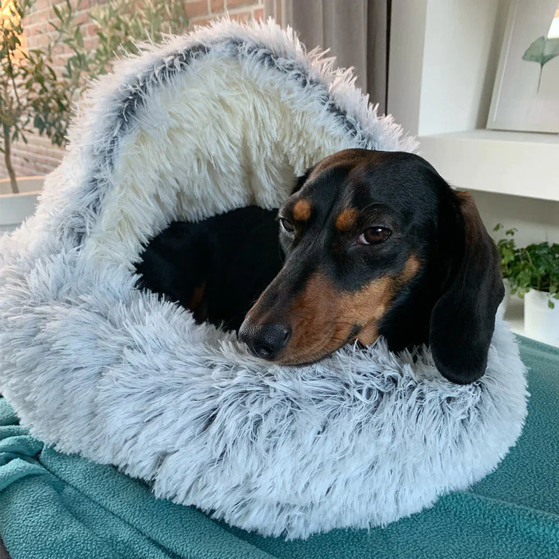 Cozycave Premium Pet Bed