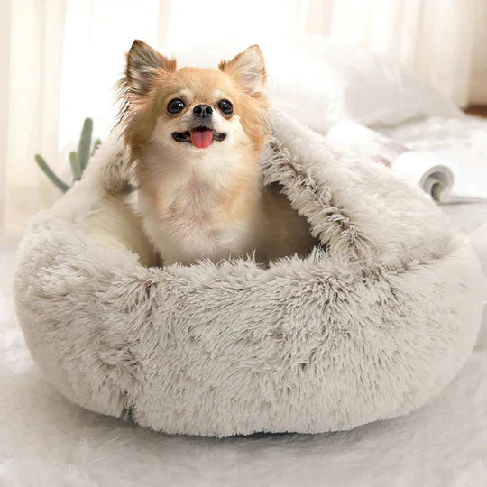 Cozycave Premium Pet Bed