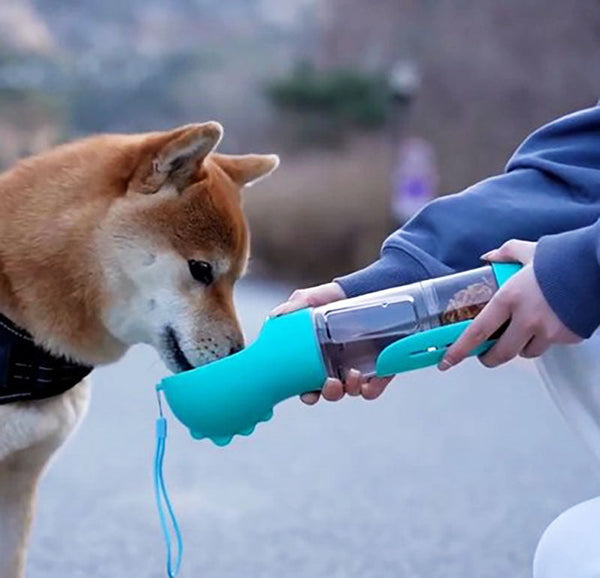 3-in-1 Pet Flask