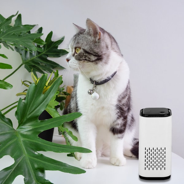 Portable Pet Air Purifier